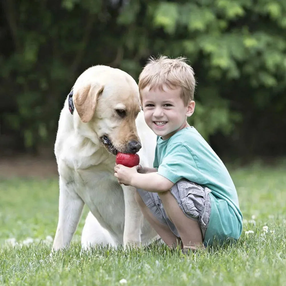 KONG Classic | Para Cachorro