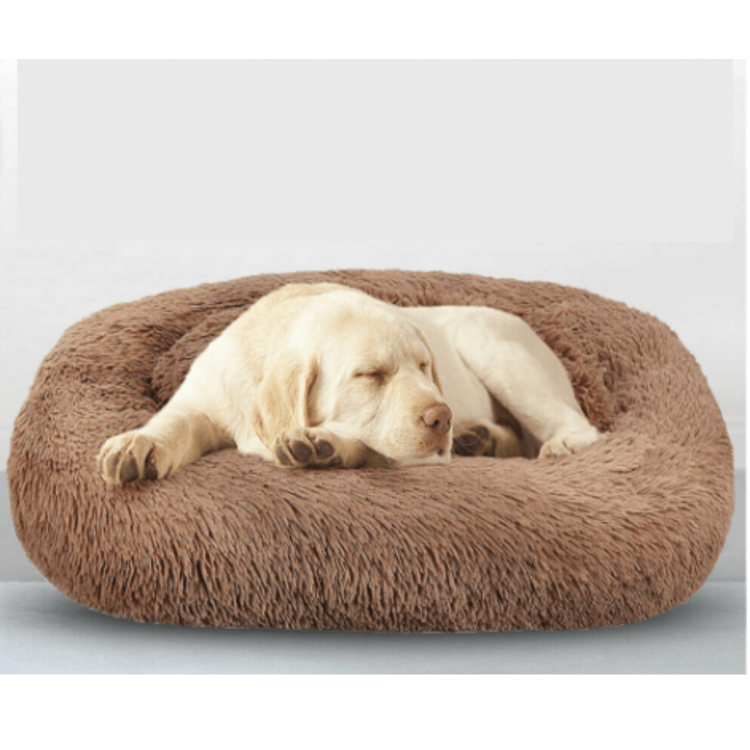 Caminha para Cachorro | Cama Nuvem Pet Relax Quadrada