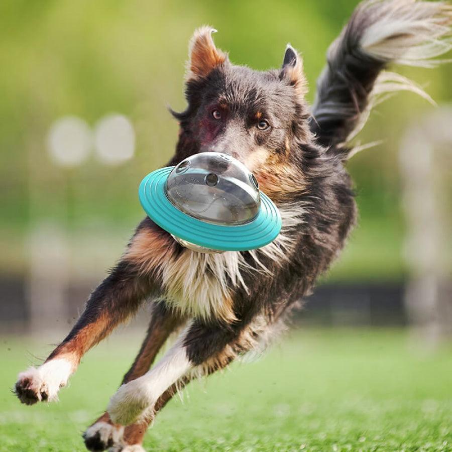 Brinquedo Interativo Para Cachorro - Comedouro Lento