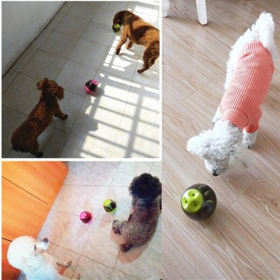 Comedouro Para Cachorro | Brinquedo Pet Interativo | Ovo Solta Petisco